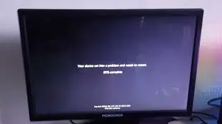 Guadows XP Has BSOD #2