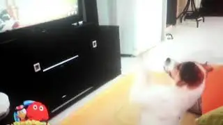 Смешные видосики Италии😸