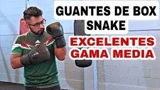 Los mejores guantes de box gama media /snake