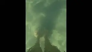 Песочный пляж с чистой водой.  Пляж Севастополь