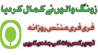 Zong Minutes And Internet _ Zong Sasta Package
