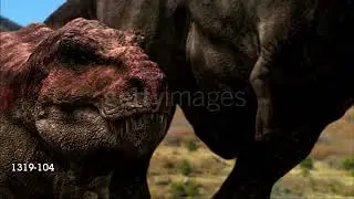 The Tyrannosaurus Supercut