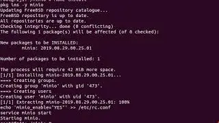 FreeBSD Minio
