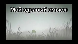 как выглядит шиза