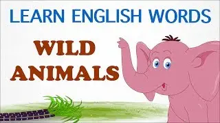 Wild Animals | Pre School | Learn English Words (Spelling) Video For Kids and Toddlers