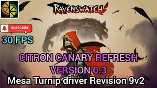 30 FPS Playable | Ravenswatch | Citron Emulator on android.
