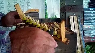 изолирую маточники во время грозы,  под навесом.