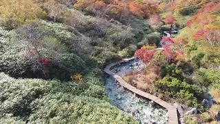 DJI 0040