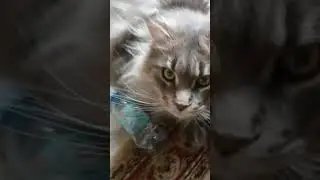 Vas21 Вася21