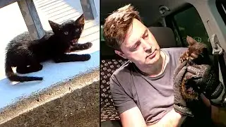 How Did a Rat Turn into a Kitten? Mary's Story