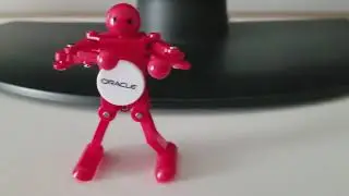 Oracle robot