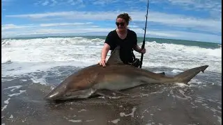 Uná’s first Landbased Shark