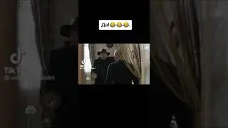 Сериал ПЁС-5 👮🐕 - серия 