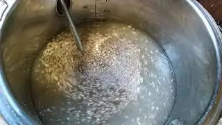 Затор  на  виски