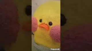 новый друг.🎁🐭