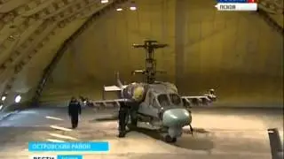 Аллигаторы прибыли на Островскую авиабазу.