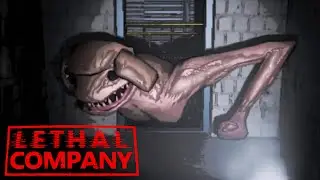 LETHAL COMPANY