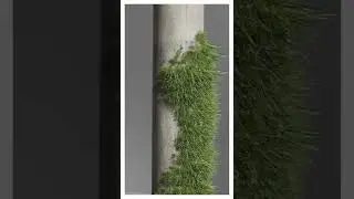Growing Plants Effect - Blender 3d 