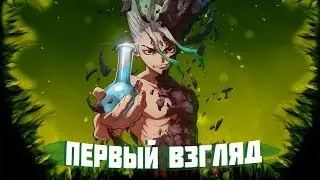 ДОКТОР СТОУН ВЕСЬМА НЕПЛОХ | Первый Взгляд (DR. STONE)