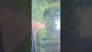 UZURI WA LUSHOTO