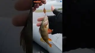 ВЫДЕРНУЛ НА ВЕРТУШКУ 