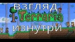 Terraria- Взгляд изнутри