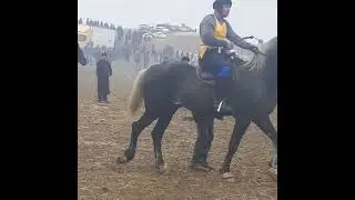 бузкаши тапкок истаравшан сирожиддин бо аспи звездаи калаи дуст 22 01 22🇹🇯🇺🇿🇰🇿🐎👍