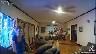 Catching a Rat (Part 2) - A Huge Rat Dropped out of our Chimney at 7am, and this is us catching him