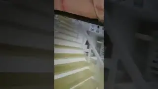 pop cat crying!!! 