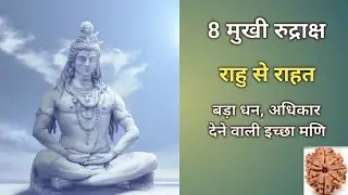 8 मुखी रुद्राक्ष: राहु का महा उपाय। अचानक धन, शक्ति देने वाला। धारण विधि, मंत्र, लाभ।