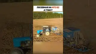#трактор #тракторист #shortsyoutube #shortsvideo #сельхозтехника #сельскоехозяйство #shorts