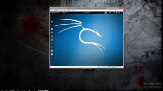 How to connect wifi to  virtual machine or virtualbox