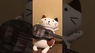 Кот гитарист 