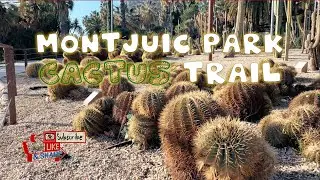 Montjuic Park Cactus Trail | Barcelona | TEAM LAOG