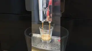 Кофемашина MELITTA CAFFEO SOLO & Perfect milk, демонстрация работы