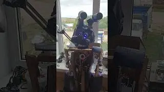 Бонни в реальной жизни! 