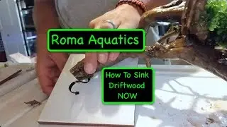 Floating Driftwood, oh no! - How To Sink Driftwood Without The Wait  - Zip Tie & Tile 🆒