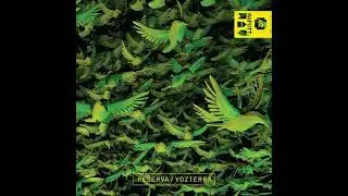 SCADTA  -  Big Bad Bird