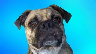 Боремся с избыточным весом. )