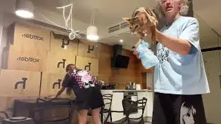 КОТ ПЕТРОВИЧ НЕМНОЖЕЧКО ШАЛИТ