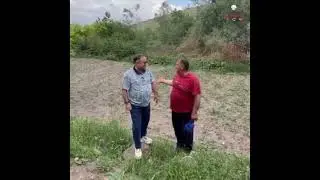 Dermason Fasülye