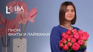 КАК РАСКРЫТЬ ПИОН | УХОД И ХРАНЕНИЕ | СОВЕТЫ LBA