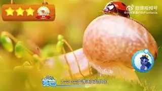 Filly's Colourful Nature World - about snails shells