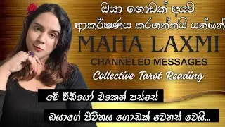 වාසනාවන්ත කාලයක් ✨️ පස්සෙන් එන කට්ටිය ගැන පොඩ්ඩක් බලන්න Collective Tarot Reading Sinhala