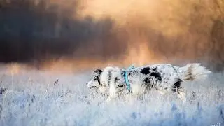 ZIMNÍ FOTOGRAFIE | ÚPRAVA