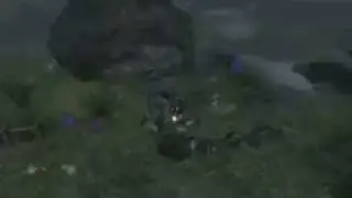 Fable 2: Floating Dog Glitch (w/ commentary)