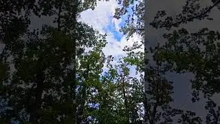 S.O.S.