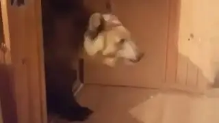 Будни России