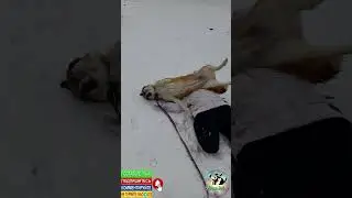 Кина не будет🤭