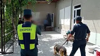 2ta o'g'rilik fosh etildi